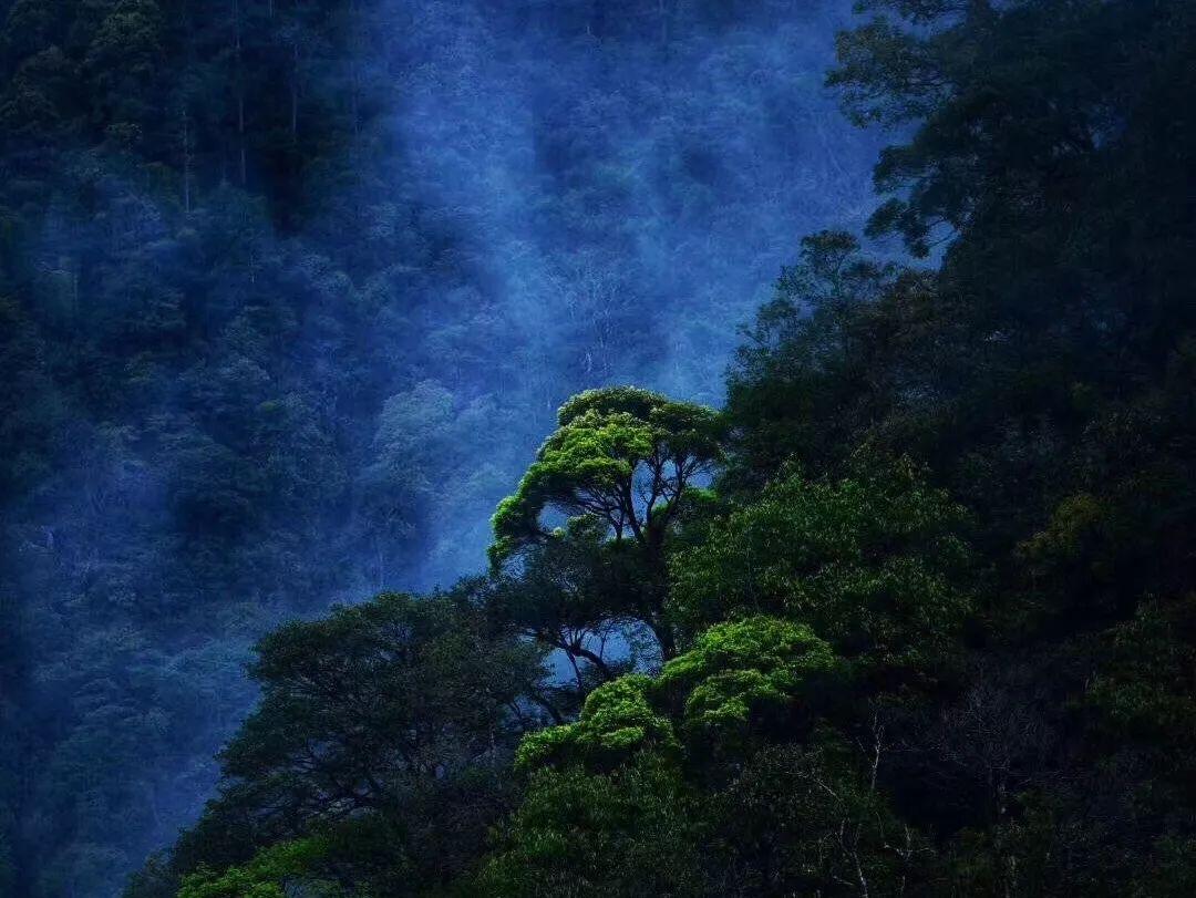 画线进洞