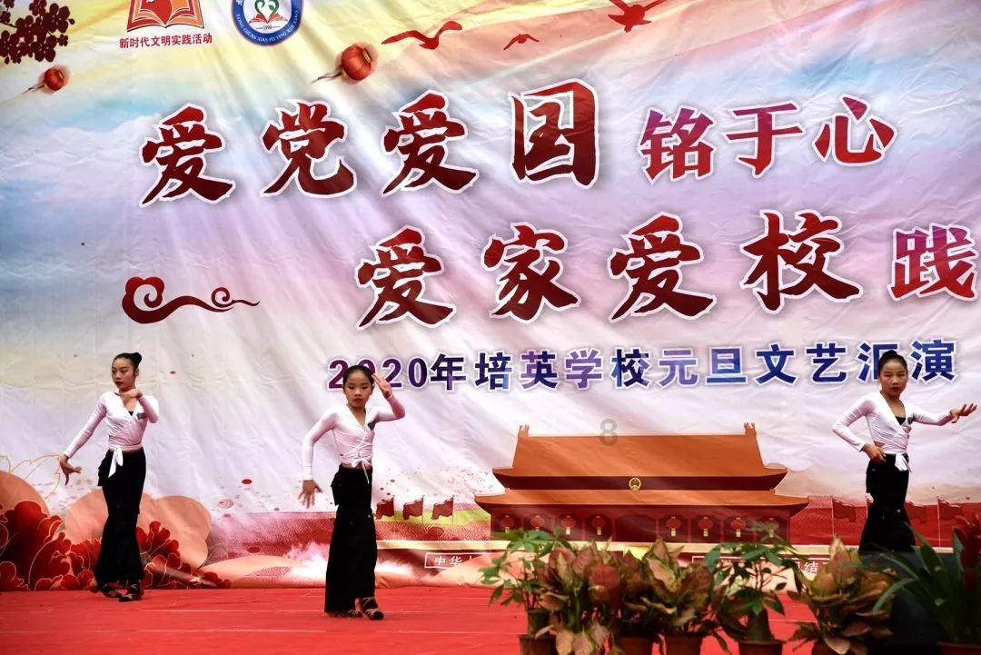 植物大战僵尸8